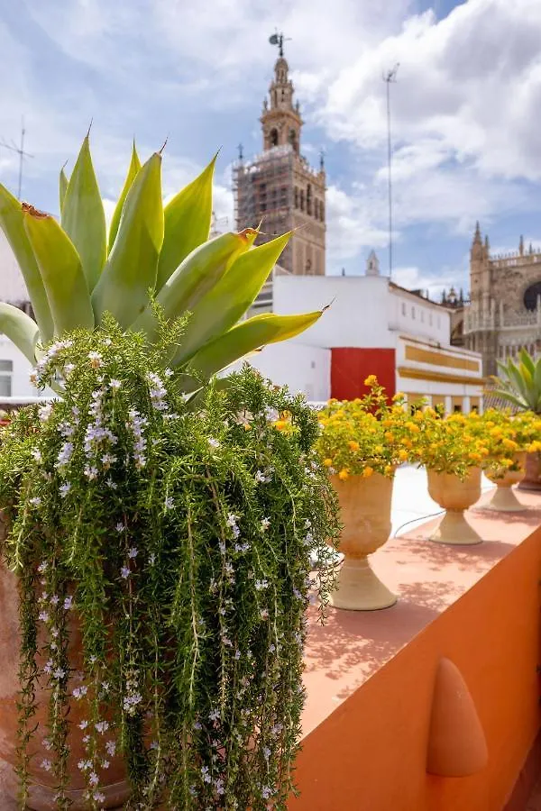 Ohliving Cathedral View Apartment Seville