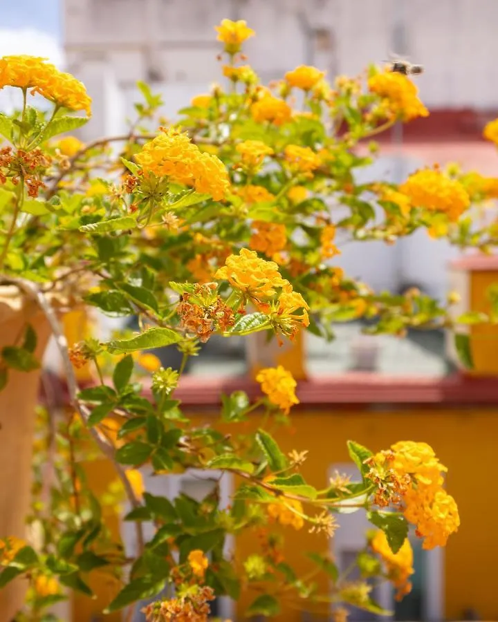 Ohliving Cathedral View Apartment Seville Spain