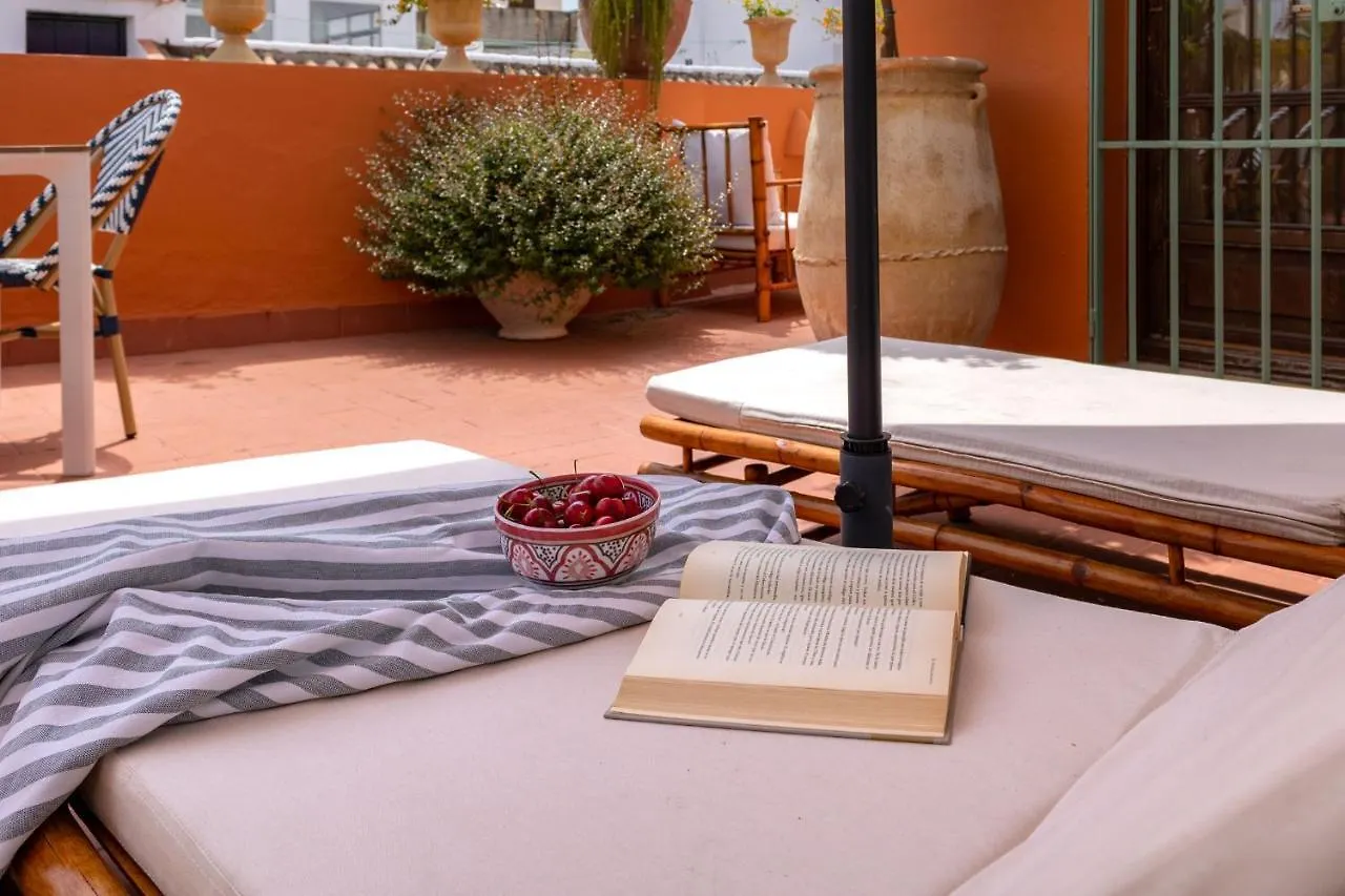 Ohliving Cathedral View Apartment Seville Spain